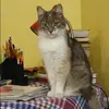 Отзыв от Венера Анисимова